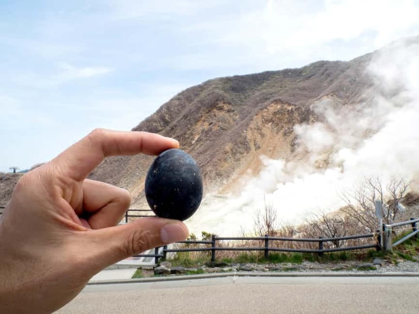 Tokyo: Mt. Fuji, Owakudani, Hakone Shrine, & Open-Air Museum - Why This Tokyo-to-Hakone Day Trip Feels Efficient