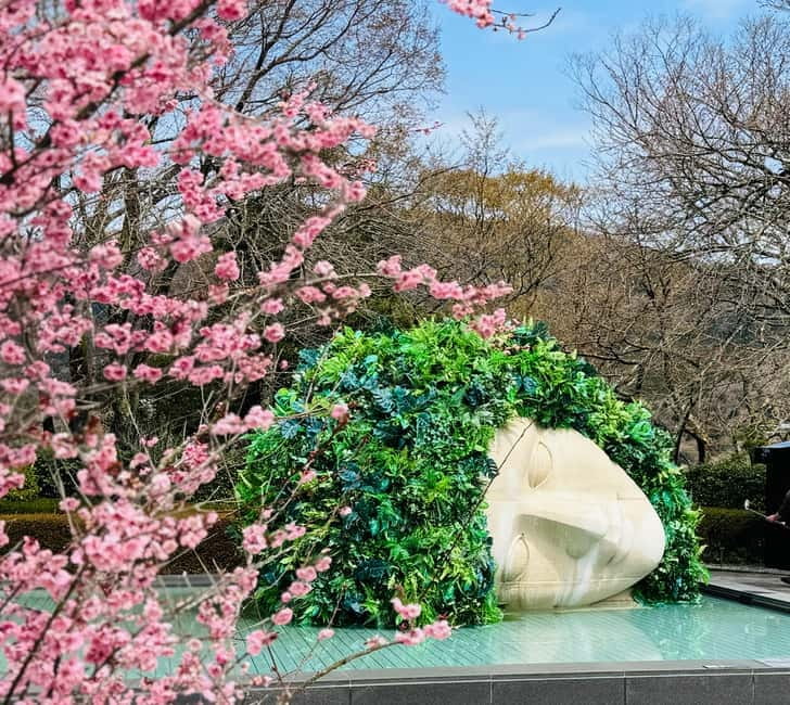 Tokyo: Mt. Fuji, Owakudani, Hakone Shrine, & Open-Air Museum - Hakone Open-Air Museum: Art in a Real Garden Setting