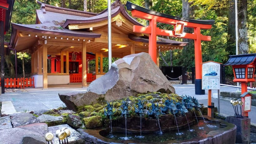 Tokyo: Mt. Fuji Tour, Hakone Ropeway, Owakudani, Lake Ashi - Lake Yamanaka Swan Shore: A Calm Fuji Five Lakes Break