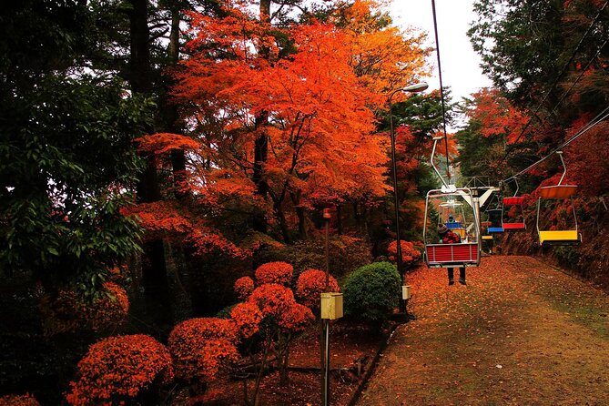 Tokyo: Mt. Takao Tour with Ramen and Tattoo-Okay Hot Spring - Key things you will like about this Mt. Takao day trip