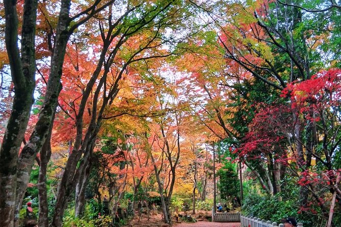 Tokyo: Mt. Takao Tour with Ramen and Tattoo-Okay Hot Spring - Mt. Takao, and why it feels like more than a hike