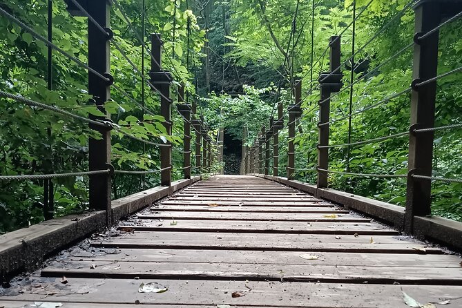 Tokyo: Mt. Takao Tour with Ramen and Tattoo-Okay Hot Spring - Lunch at Gomadokoro Gongen Chaya: ramen or soba that actually fits the day