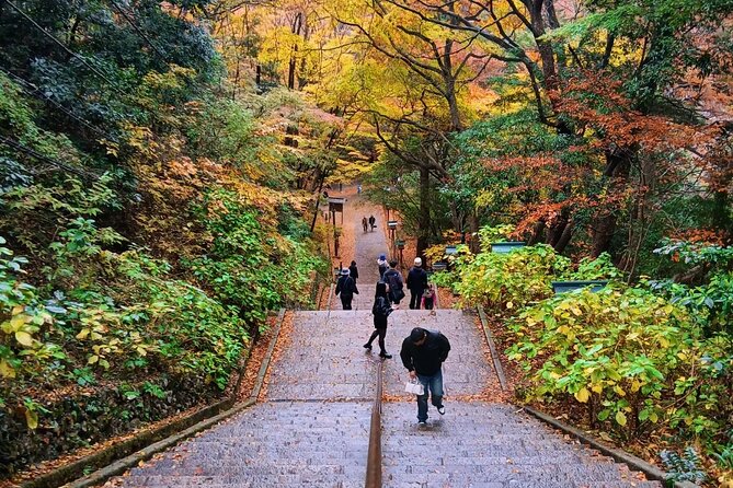 Tokyo: Mt. Takao Tour with Ramen and Tattoo-Okay Hot Spring - Price and value: why $120 adds up for this kind of day
