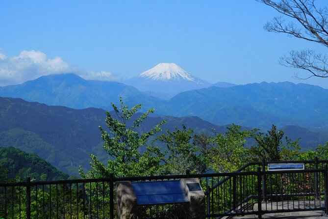 Tokyo: Mt Takao Tour with Ramen and Tattoo-Okay Hot Spring - Getting Started at Takaosanguchi Station (And Finding Your Guide Fast)