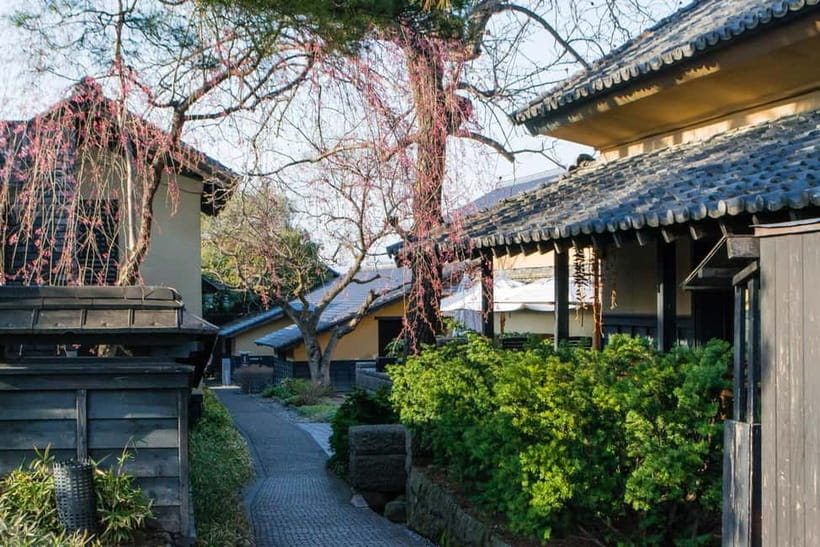 Tokyo: Nagano Snow Monkeys and Zenkoji Tour with Temples - Timing, Weather, and What to Pack for a snowy day trip