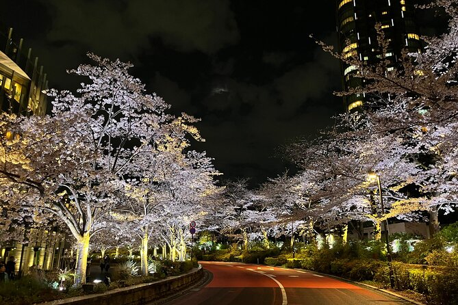 Tokyo Night Bike Tour: From Shibuya to Tokyo Tower via Roppongi - Starting at Umayamichi Park, and what the 8:00 pm vibe is like