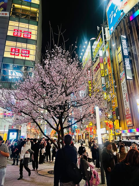 Tokyo Night Drive Wangan Expressway and Daikoku PA - Price and value: what $90 per person gets you