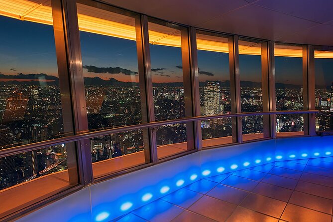 Tokyo Night E-Bike Tour with Tokyo Tower and Dolphin Show - Tokyo Tower Top Deck Tour, the 360 view you can plan around
