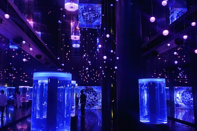 Tokyo Night E-Bike Tour with Tokyo Tower and Dolphin Show - Who this tour suits, and who should choose a different plan