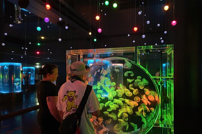Tokyo Night E-Bike Tour with Tokyo Tower and Dolphin Show - Maxell Aqua Park Shinagawa dolphin show, up close at night