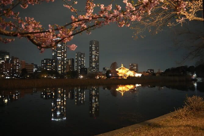 Tokyo Night Tour Akihabara, Shibuya, Karaoke and City Lights - Ueno Park at sunset: temples, Shinobazu Pond, and a calm start