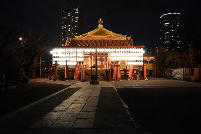 Tokyo Night Tour Akihabara, Shibuya, Karaoke and City Lights - Shibuya Crossing and shopping streets: how to use your short free time