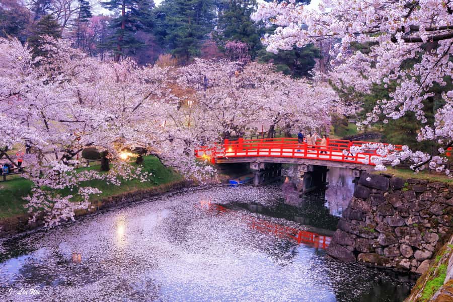 Tokyo: Nikko Day Tour Shrines, Lake Chūzenji & Kegon Falls - The big idea: a private Nikko day that mixes shrines, falls, and Edo drama