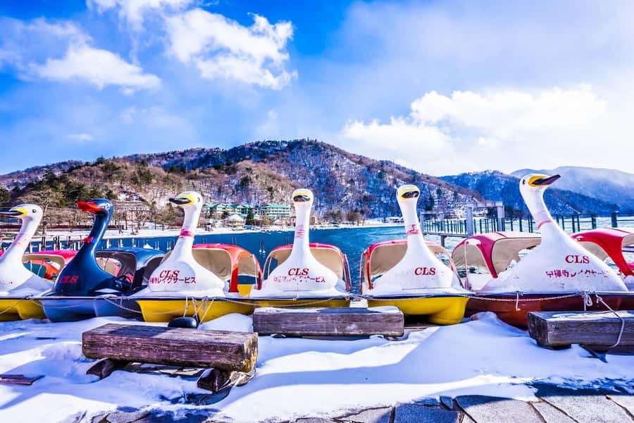 Tokyo: Nikko Day Tour Shrines, Lake Chūzenji & Kegon Falls - Quick take on what makes this day tour work