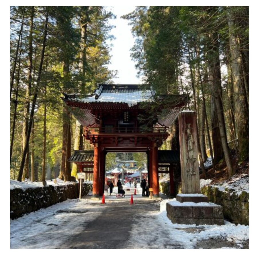 Tokyo: Nikko Day Tour Shrines, Lake Chūzenji & Kegon Falls - Lake Chūzenji and Kegon Falls, the weather-dependent highlight