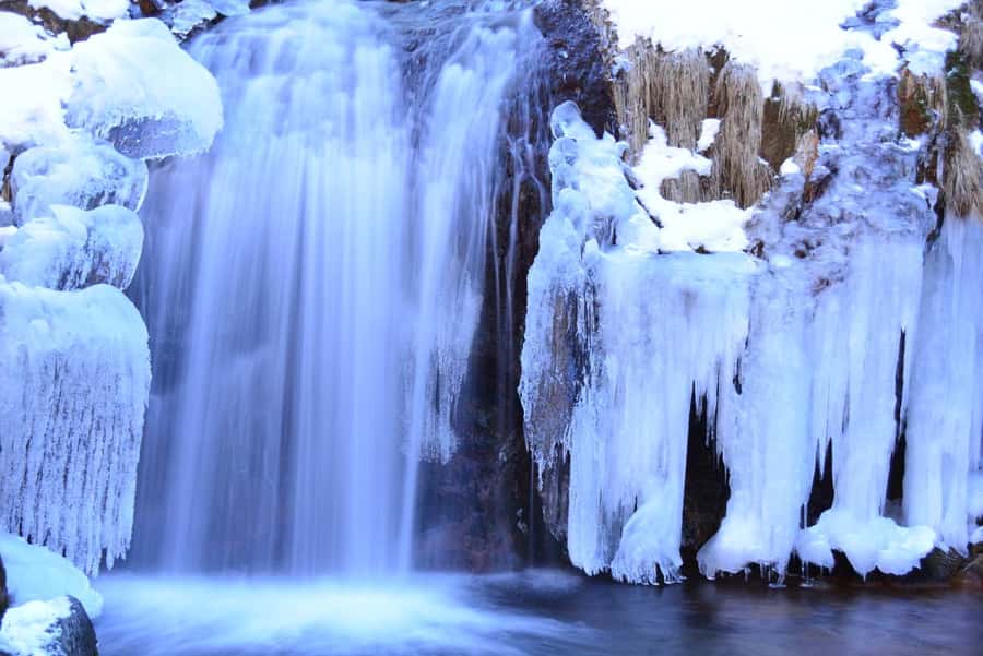 Tokyo: Nikko Day Tour Shrines, Lake Chūzenji & Kegon Falls - Private transport, timing, and why it matters more than you think