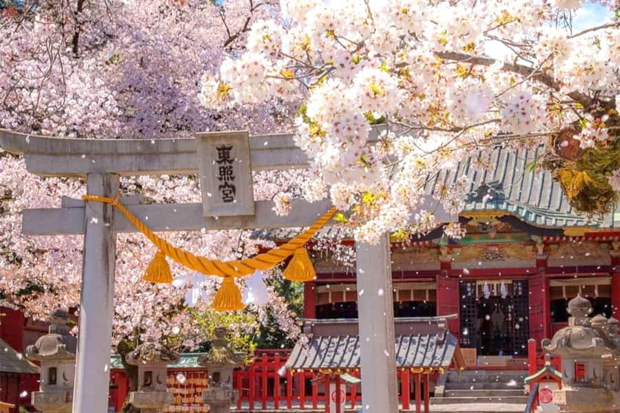 Tokyo: Nikko Day Tour Shrines, Lake Chūzenji & Kegon Falls - Nikko Toshogu and Shinkyo Bridge, the UNESCO opener