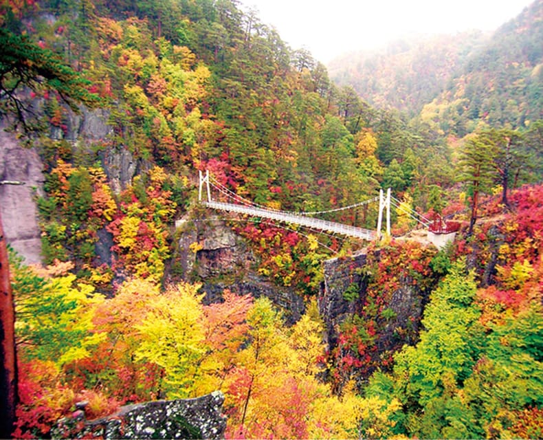 Tokyo: Nikko Day Tour with English Driver and Flexible … - Nikkō National Park Time: Stretch, Breathe, Reset