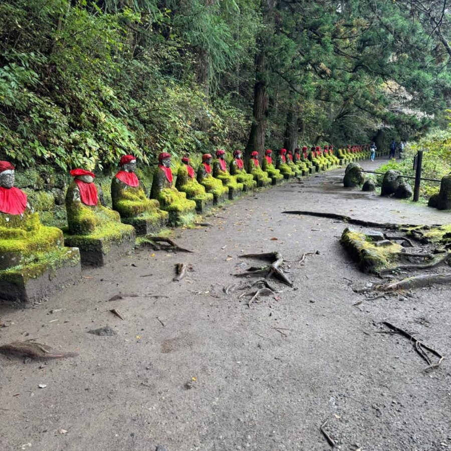 Tokyo → Nikko:Private Customizable Day Trip (English Driver) - Edo Wonderland as an optional add-on that fits certain tastes