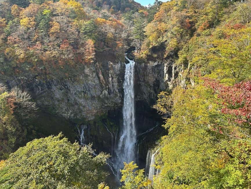 Tokyo → Nikko:Private Customizable Day Trip (English Driver) - Getting an early start from Tokyo without the morning headache