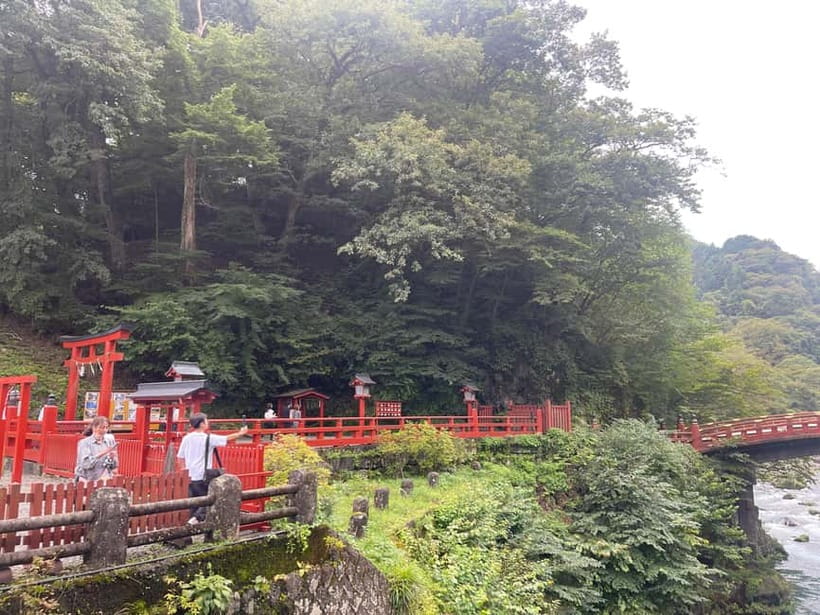 Tokyo: Nikko Private Customize Tour English Driver & Guide - Key highlights
