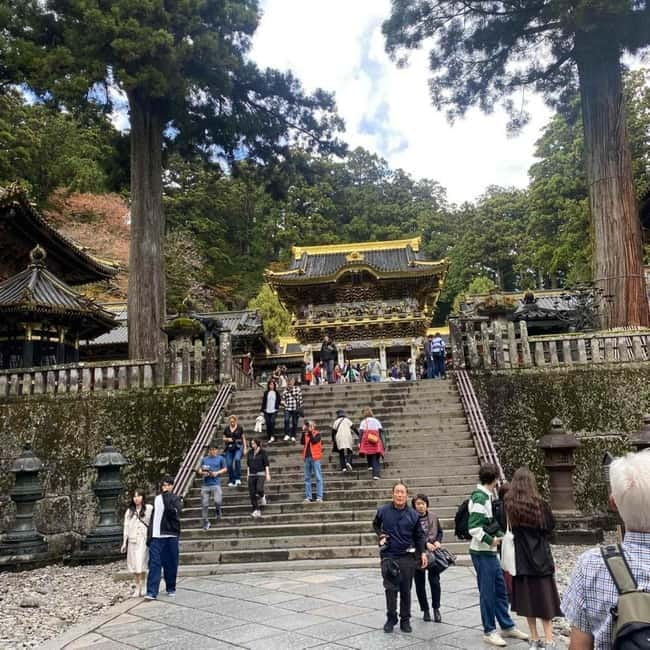 Tokyo: Nikko Private Day Tour Fully Customizeable Low Price - Why Nikko Works So Well on a Private Day