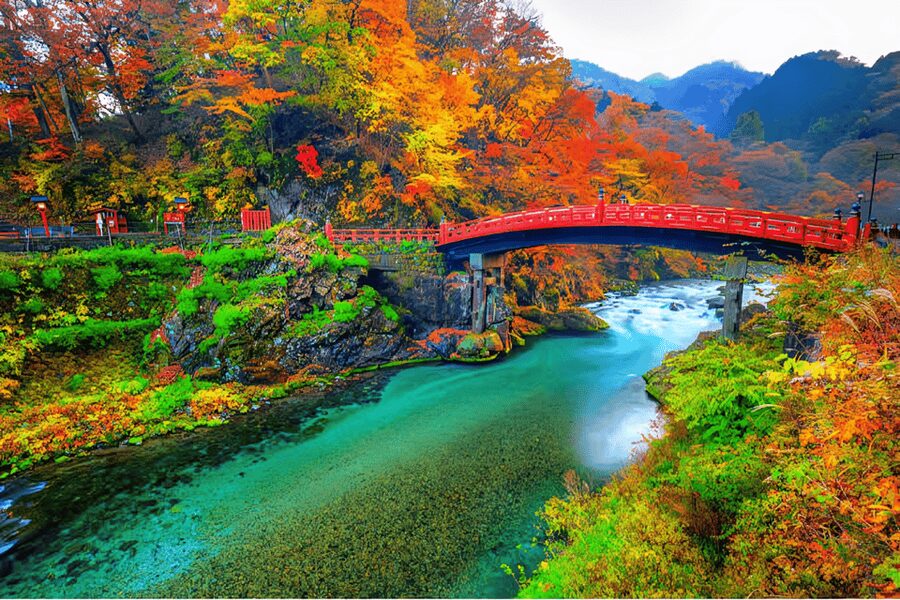 Tokyo: Nikko Private Sightseeing Day Trip with Driver - Key highlights worth planning around