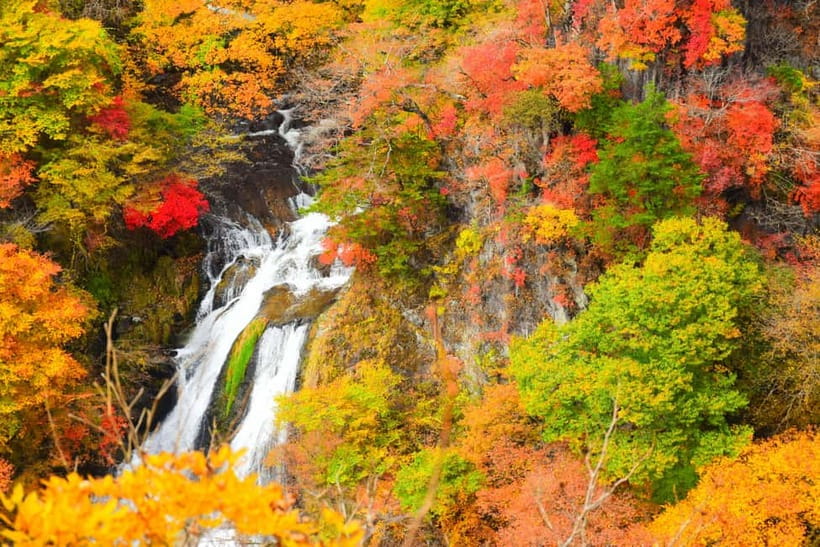 Tokyo: Nikko Private Sightseeing Day Trip with Driver - A private Nikko van is the real upgrade