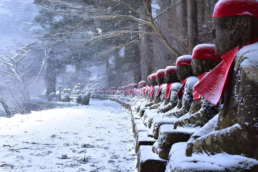Tokyo: Nikko Private Sightseeing Day Trip with Driver - Lunch and yuba gozen: how to get it without derailing the day