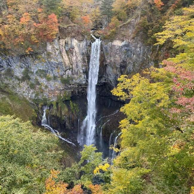 Tokyo:Nikko UNESCO World Heritage Sites Private 1-Day Tour - A One-Day Nikko UNESCO Plan That Actually Feels Manageable