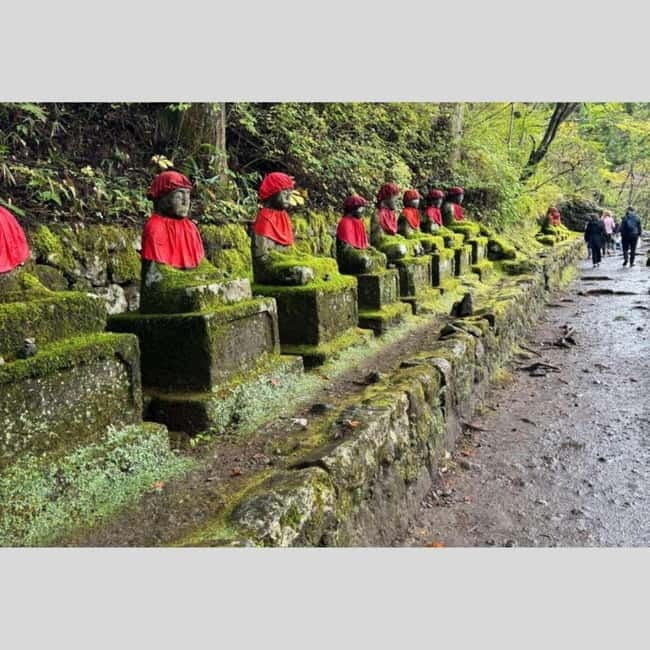 Tokyo: Nikko World Heritage Private Day Trip Hotel Pick-up - Key Highlights You’ll Care About