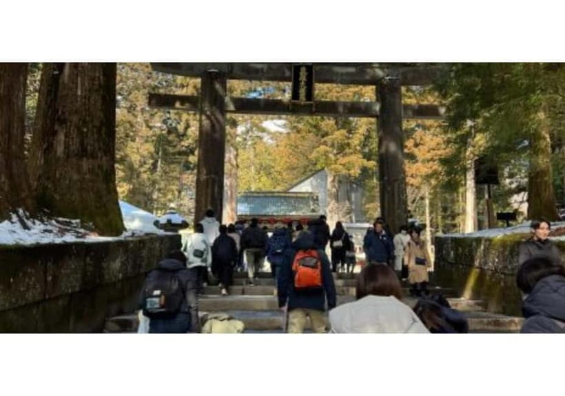 Tokyo: Nikko World Heritage Private Day Trip Hotel Pick-up - Why This Private Tokyo to Nikko Day Trip Feels Like a Shortcut