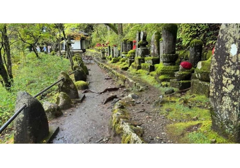 Tokyo: Nikko World Heritage Private Day Trip Hotel Pick-up - Nikkō National Park Break Time: Use It Strategically