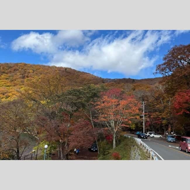 Tokyo: Nikko World Heritage Private Day Trip Hotel Pick-up - Pickup and Timing: What the 10 to 11 Hour Reality Means
