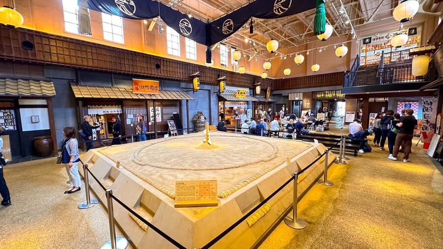 Tokyo: Not a show- a professional sumo practice with experts - Should You Book Japan Shine Tour for Takasago-beya Sumo Practice?