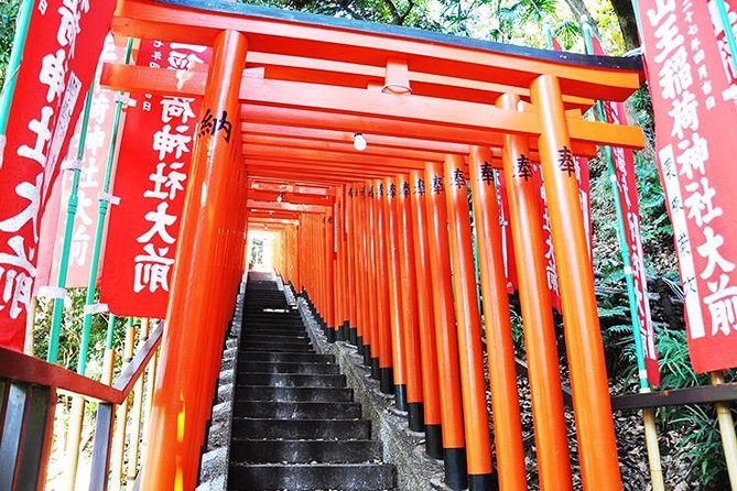 Tokyo Off the Beaten Path 6hr Private Tour with Licensed Guide - Nezu and Yanesen: Old Downtown Feel at Nezu, Yanaka, and Sendagi