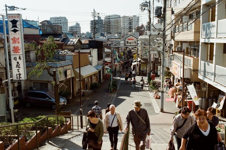 Tokyo: Off the Beaten Path Private Guided Tour - Yanaka Ginza: Where Old-Japan Charm Still Shows Up Between Modern 100-Yen Stores