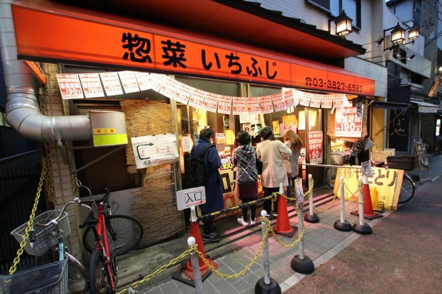 Tokyo: Off the Beaten Path Private Guided Tour - Optional Swaps: Nezu, Sendagi, Fukagawa Edo Museum, and Asakusa