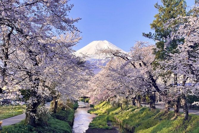 TOKYO OishiPark, Oshino & KoedoKawagoe, Fuji Mount - Getting to Shinjuku L Tower and what the 10-hour timing really feels like