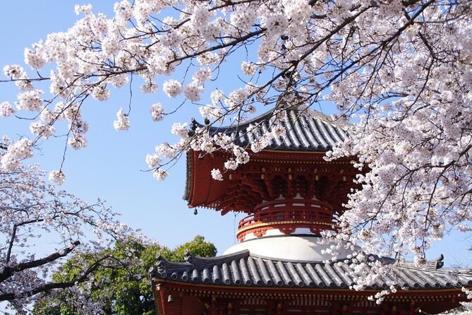 TOKYO OishiPark, Oshino & KoedoKawagoe, Fuji Mount - Oishi Park: Fuji views with only one hour to play your cards