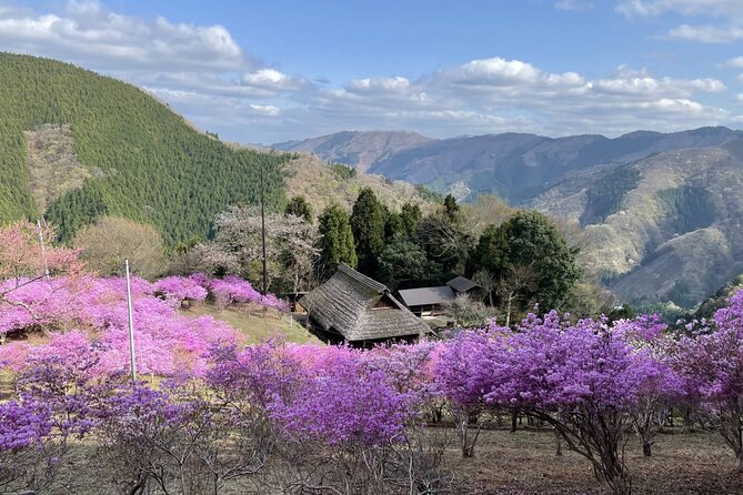 Tokyo Okutama Day Trip Tour - Onsen Time: Public Bath Options and How to Plan for Tattoos