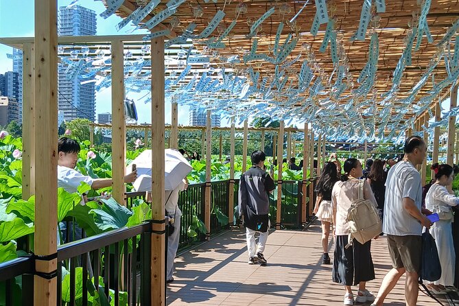 Tokyo Old Town Discovery Walk. Lunch Included - Senso-ji Temple and the art of omiyage shopping