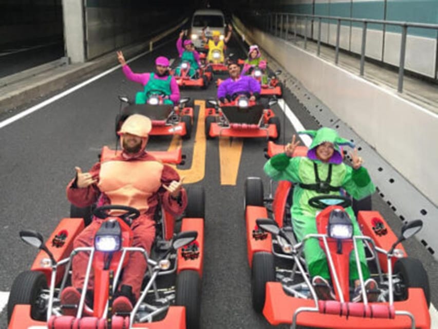 Tokyo Oldtown: Historic Landmarks Go Kart Tour (100 Minutes) - Who This Tour Suits Best (and Who Should Skip It)