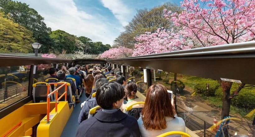 Tokyo: Open Top Panoramic Sightseeing Bus with Audio Guide - City Course vs Bay Course: Pick the Mood, Not the Map