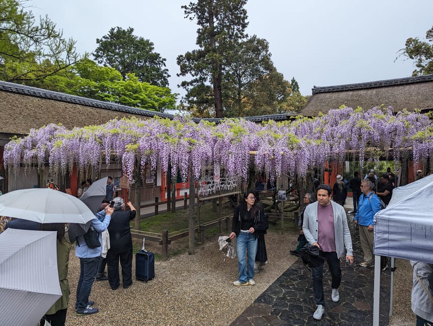 Tokyo: Personalized Half-day Tour - Choosing your own flavor: markets and themed cafes