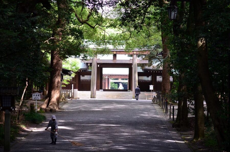 Tokyo: Personalized Private 6-Hour Tour - Language support that makes explanations usable