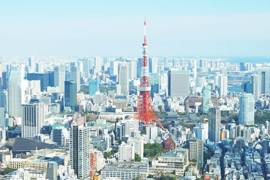 Tokyo: Personalized Private 6-Hour Tour - Shibuya time with room for views and shopping