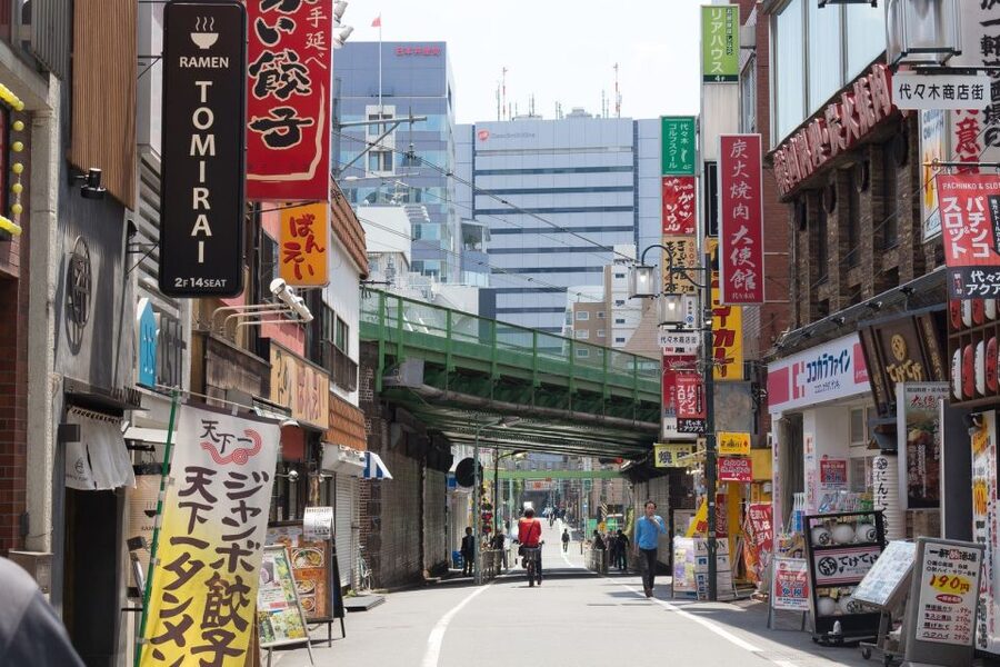 Tokyo: Personalized Private 6-Hour Tour - Fukagawa and the type of Tokyo most people skip