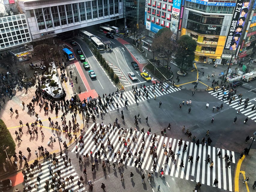 Tokyo: Personalized Private 6-Hour Tour - How the subway hopping affects your comfort