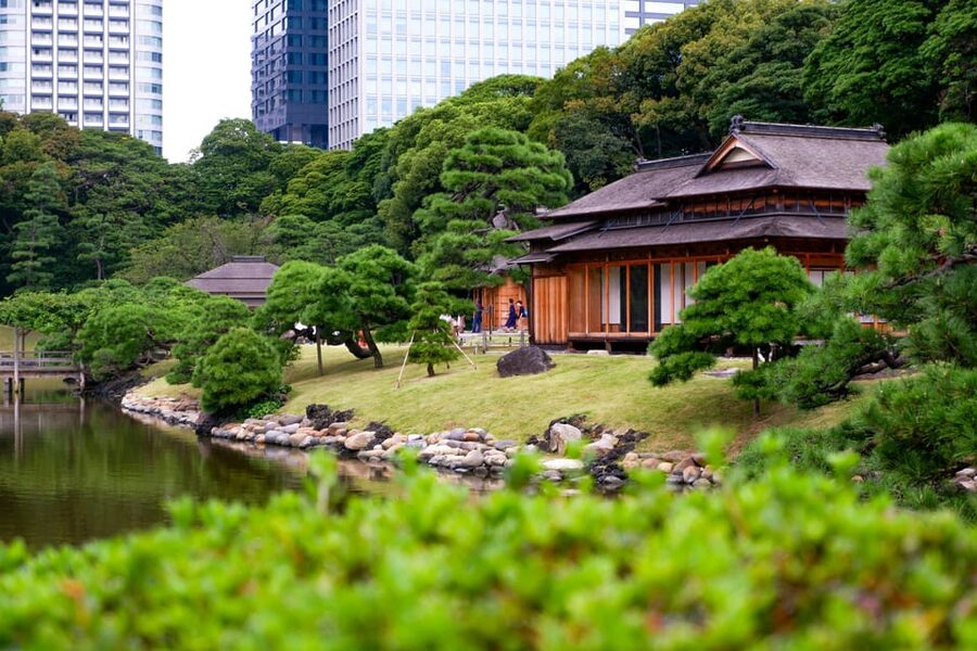 Tokyo: Personalized Private 6-Hour Tour - From Meiji Shrine calm to Harajuku style